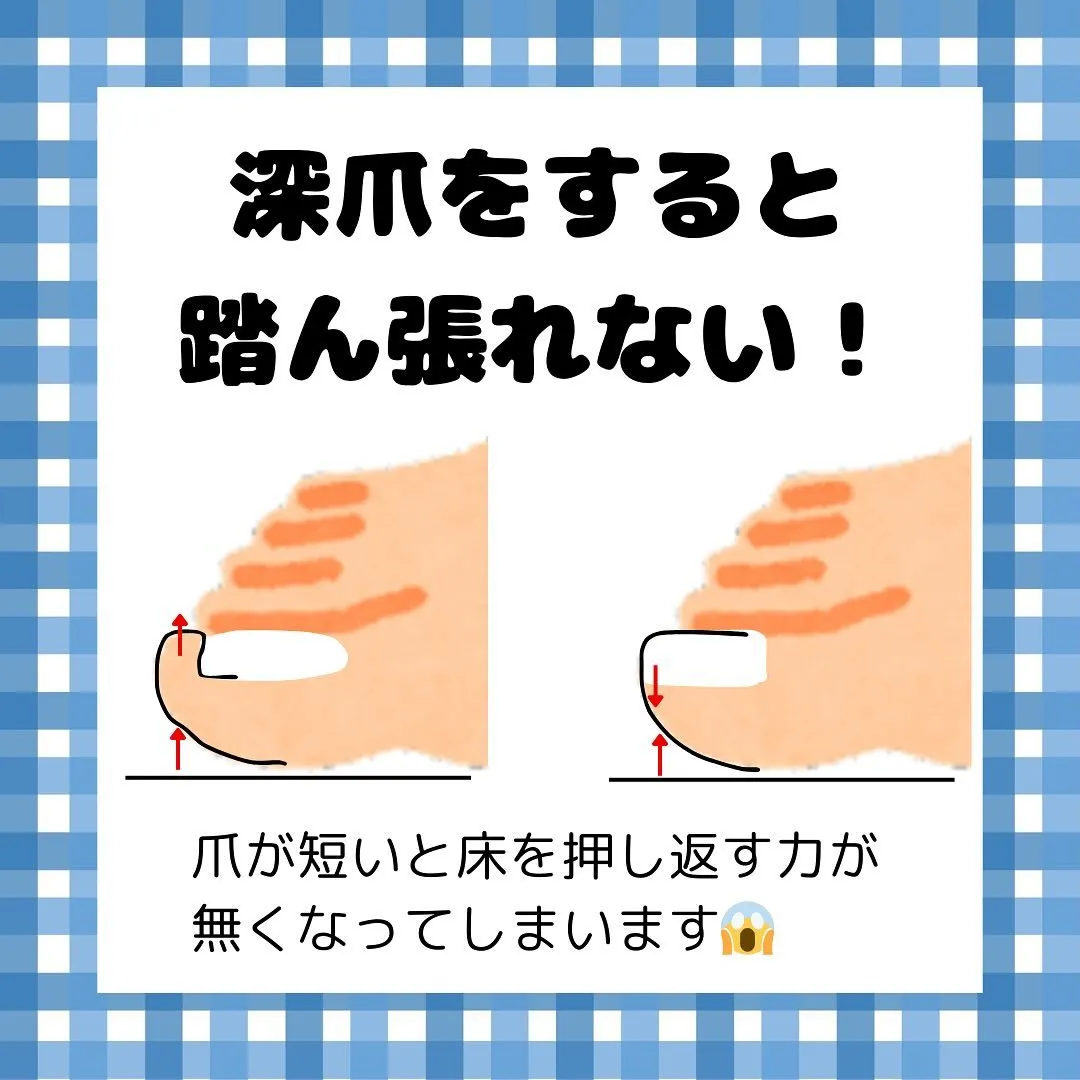 実は知らない？！爪の役割