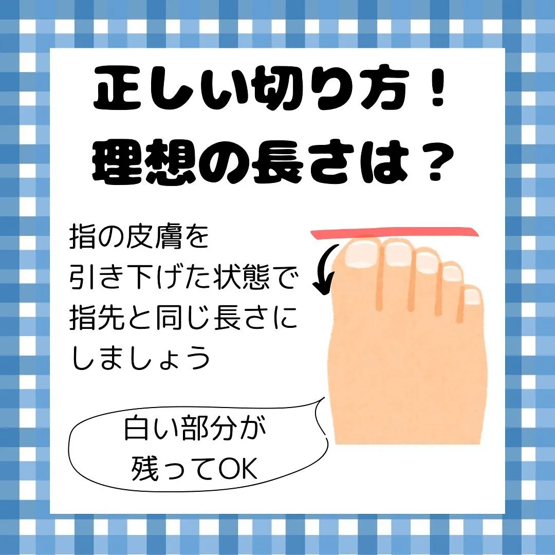 実は知らない？！爪の役割