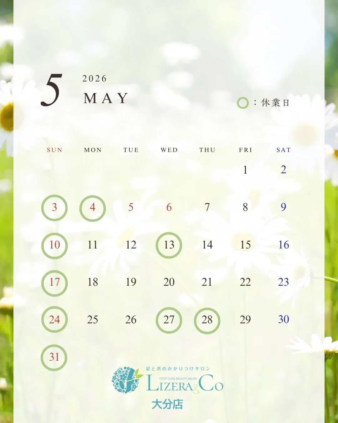 5月の営業日&キャンペーンのお知らせ📣